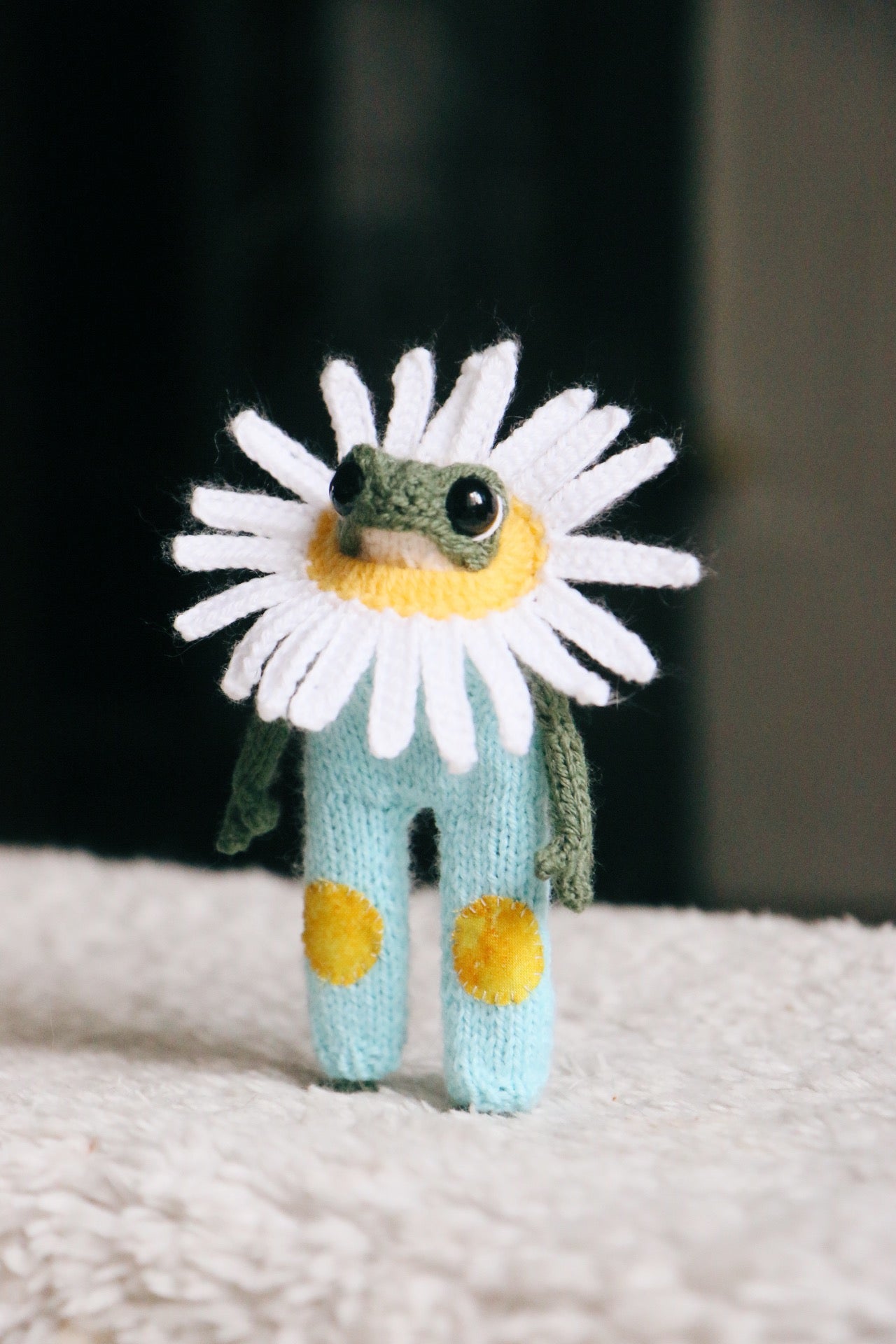 🌼 Daisy