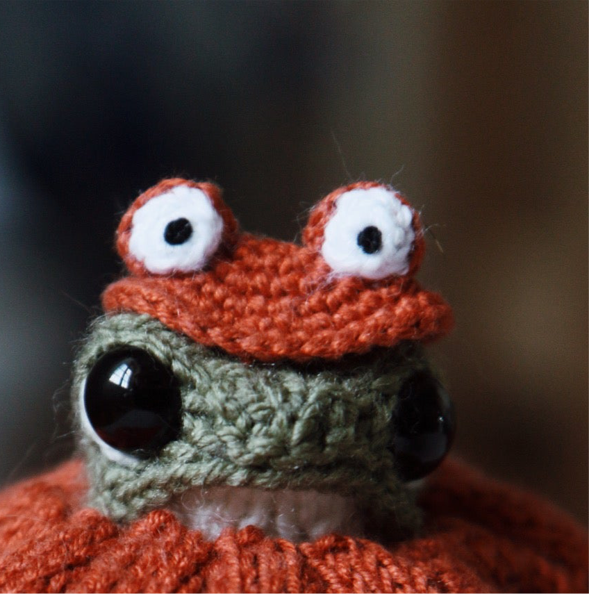 PRE-ORDER pumpkin frog 🎃