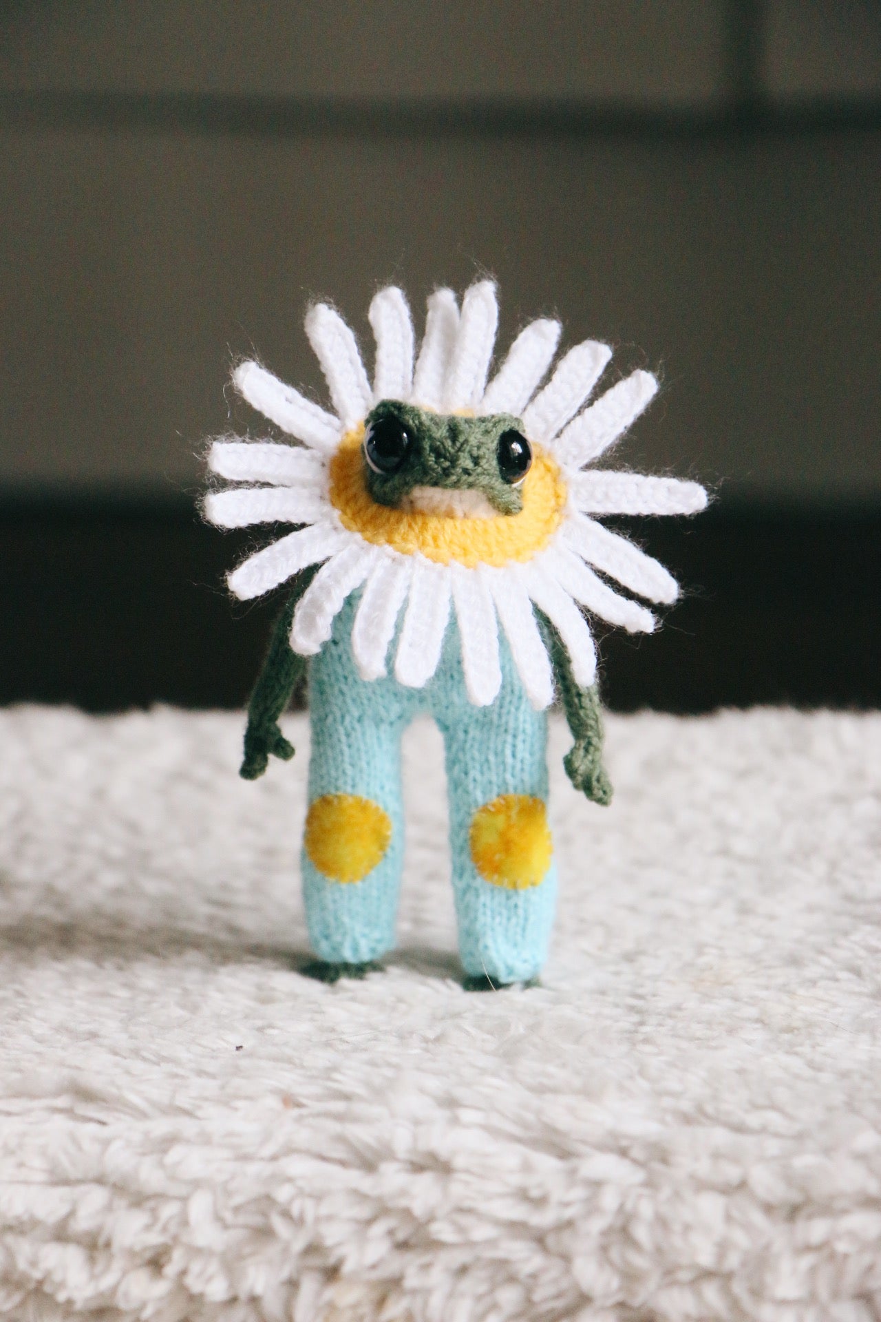 🌼 Daisy