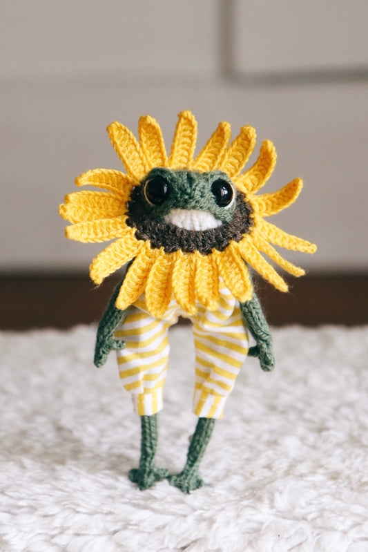 🌻 Augustin