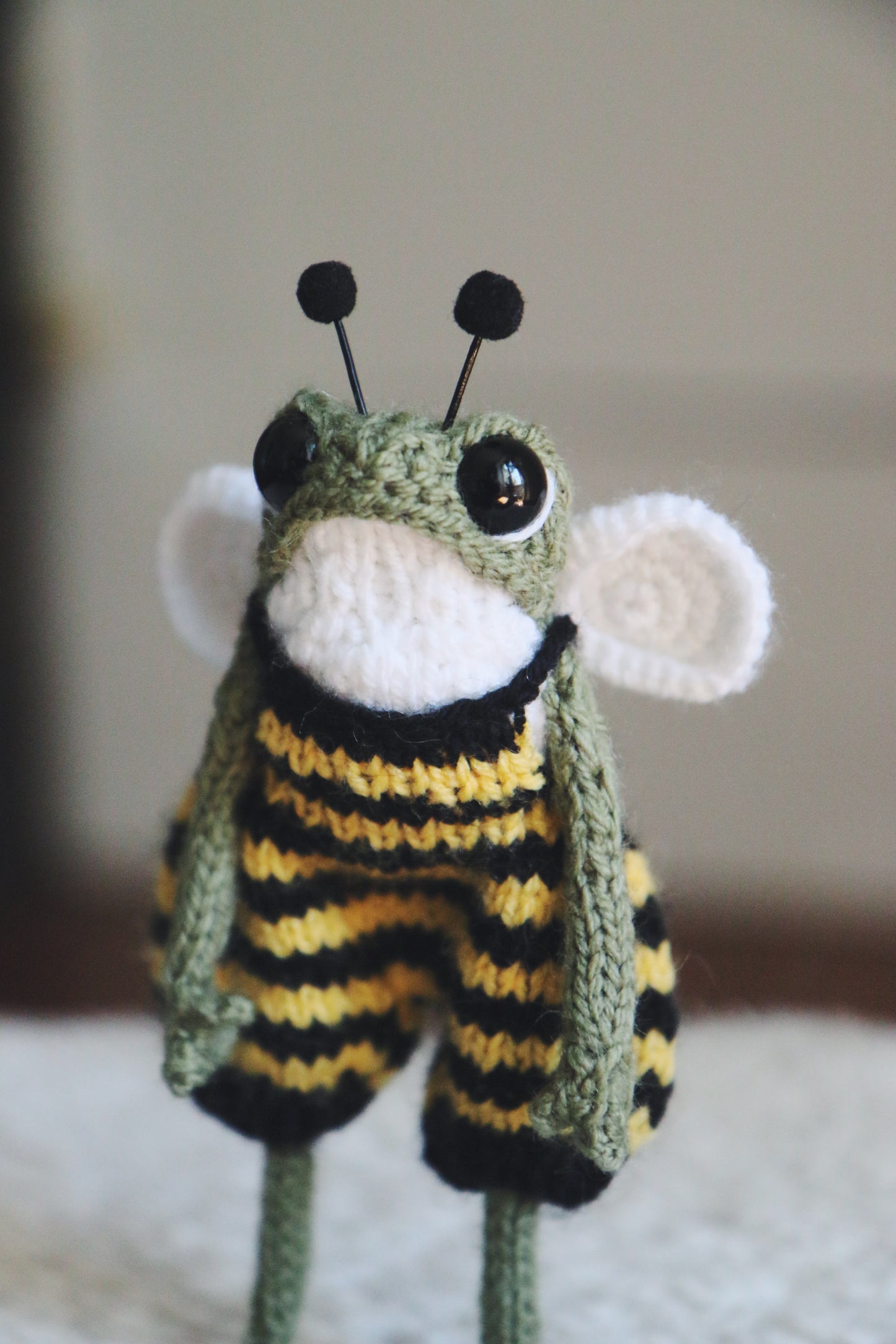🐝 Anamaree