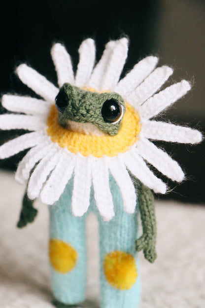 🌼 Daisy