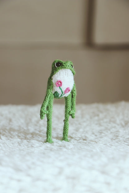 🌷 Charline Mini Frog